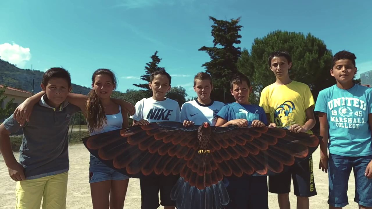 Cultivons notre différence : le vol de l'aigle Mèfi