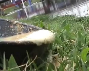 CONTAMINAÇÃO DAS ÁGUAS