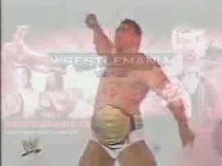 Wrestle mania allaboutwwe2