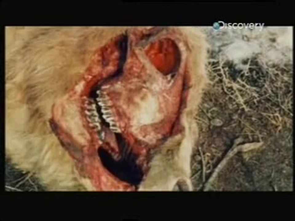 Необяснимо - епизод 3