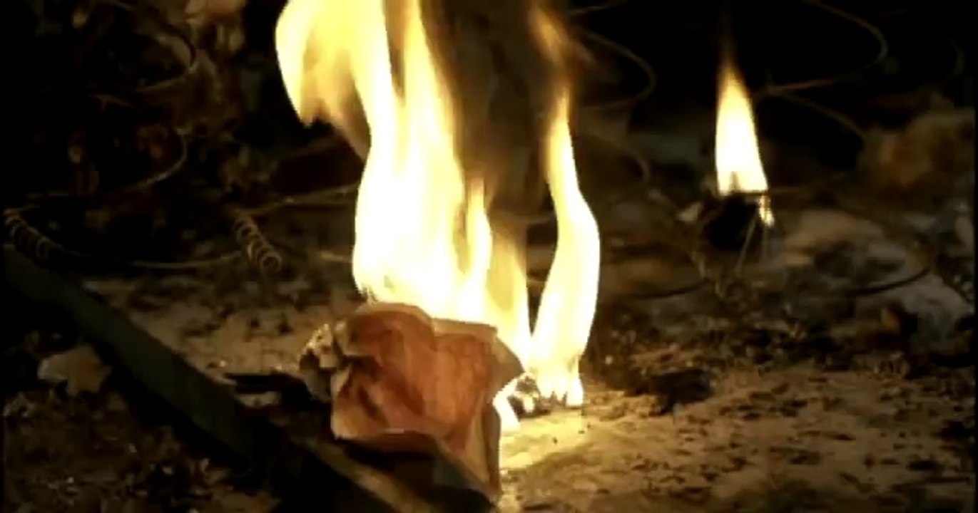 Trailer - Plata Quemada