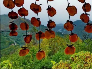 Mustafa Duman İlahi Ramazan Elveda