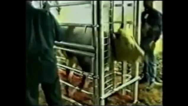 Just Diferents- Somos Apenas Diferentes [Legendado - Portugues - BR]