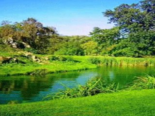 DERDİMİZİ BİLMEYEN -Dr.FİKRET DÜNDAR-SUPHİ İDRİSOĞLU TRT.REP.NO.22501