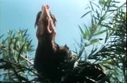 Chicken Park - Jerry Calà - 1994