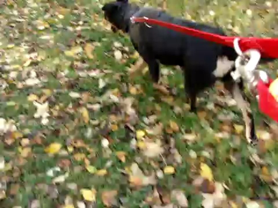 DIESEL 1 AN EN BALADE AVEC AMANDINE LE 15 NOVEMBRE 2009