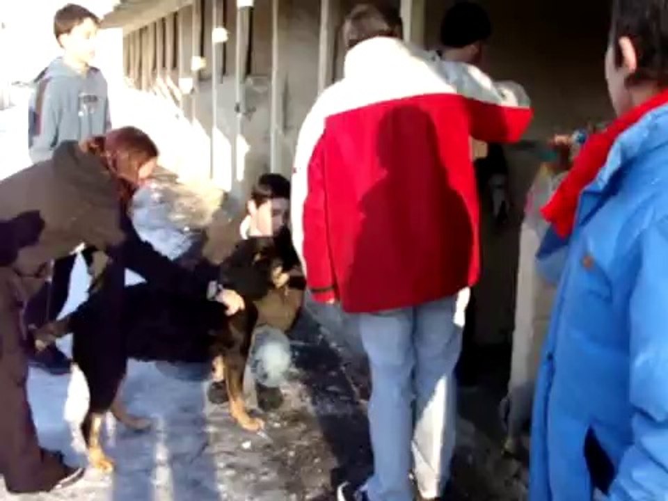 DIESEL ENTOUREE DE TOUTE L'EQUIPE ET DE SES ADOPTANTS LE 19 DECEMBRE 2009