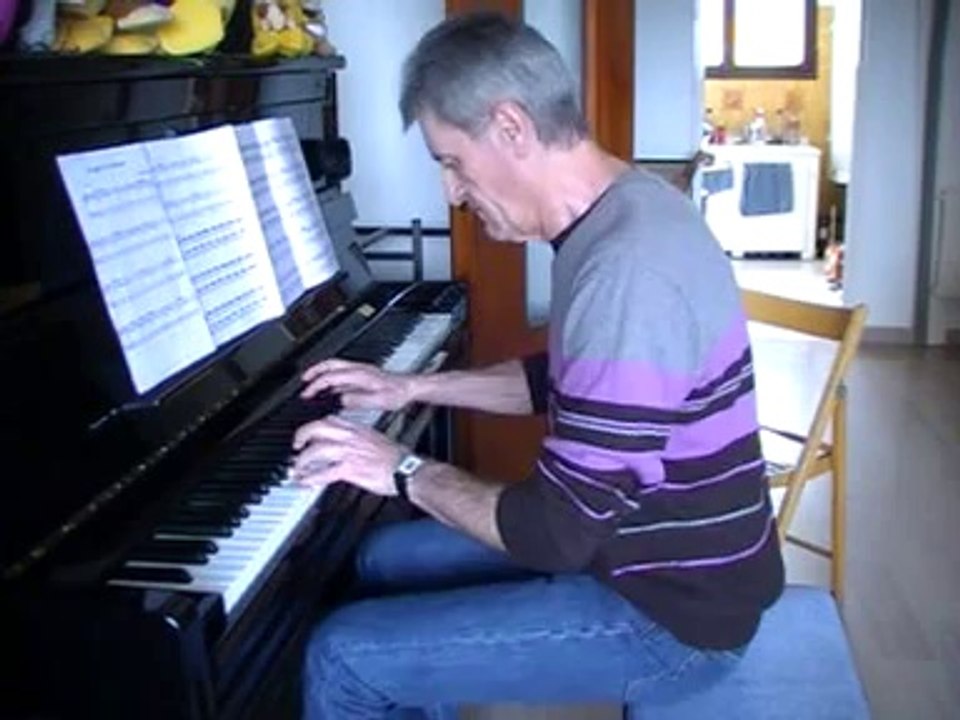 Wim Mertens Struggle for Pleasure -en cours-