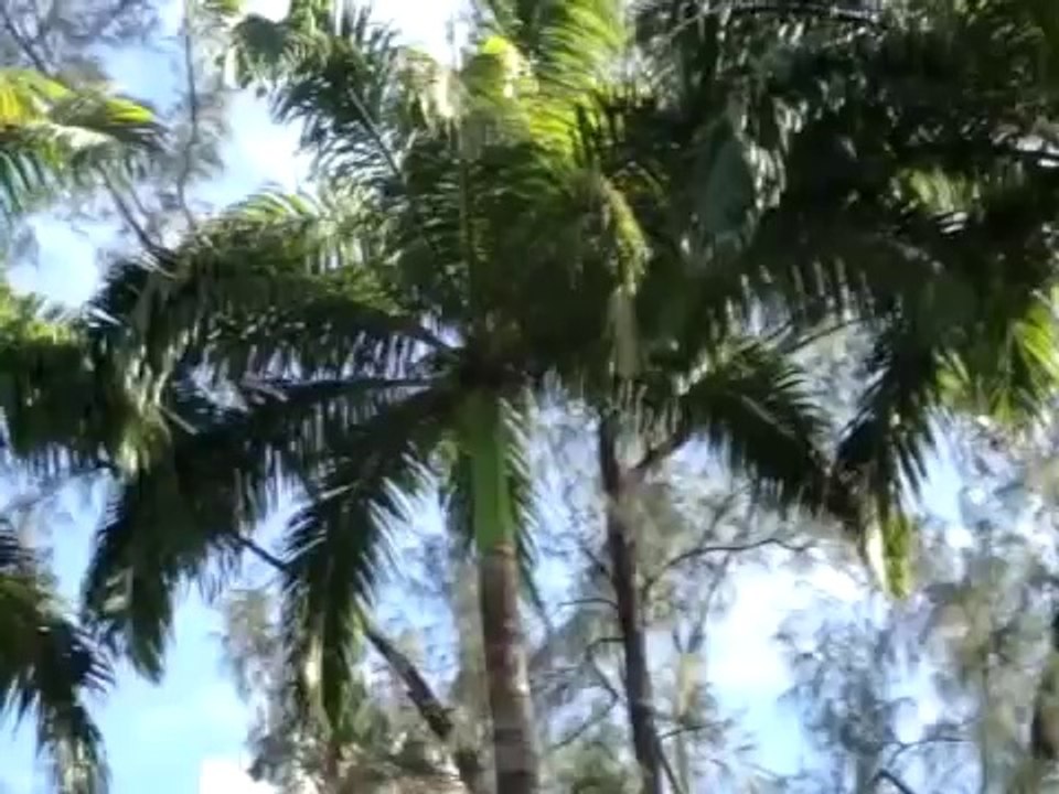 Praça