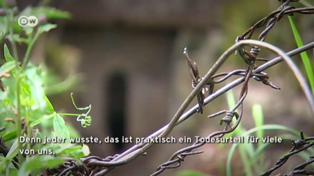 Elsass- einst Schauplatz erbitterter Kämpfe