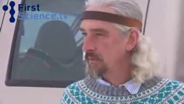 Polar bears and dogs playing