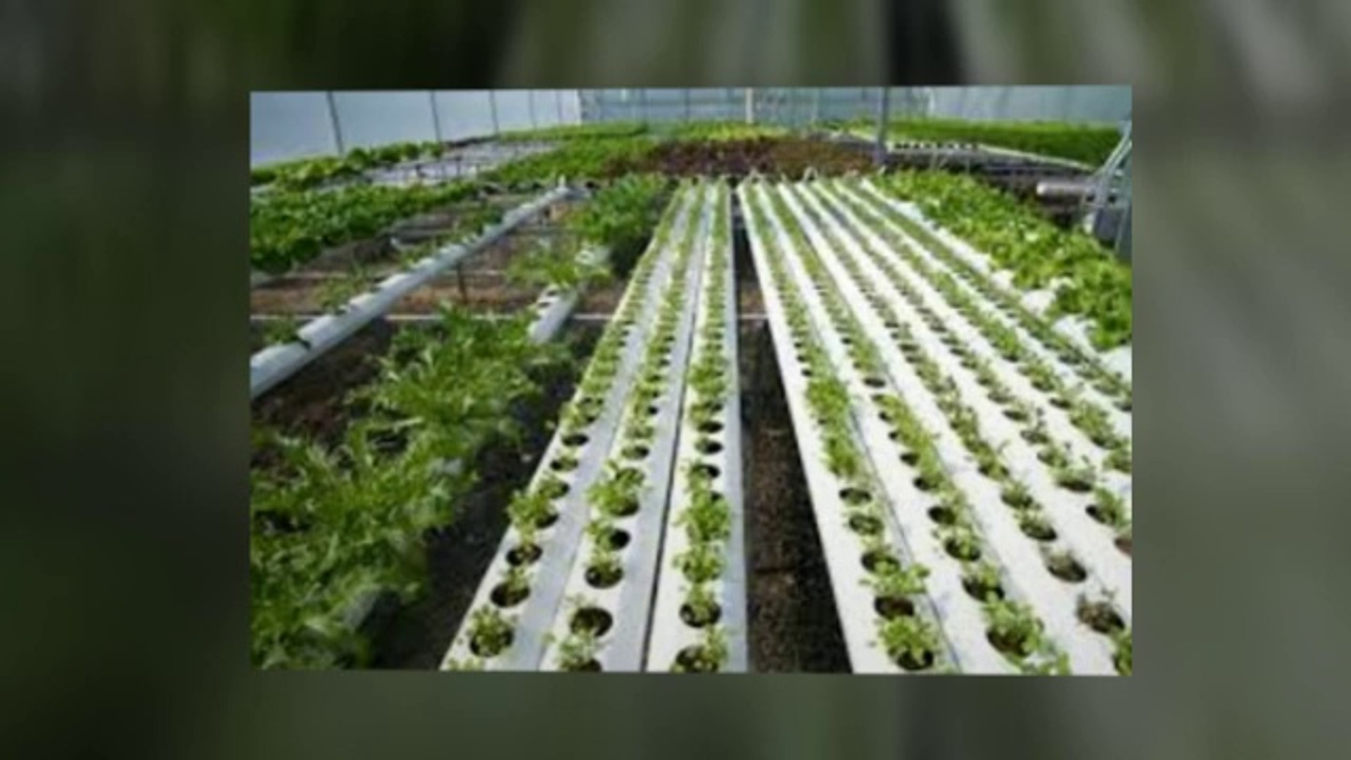 ⁣medical marijuana soil
