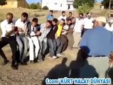 SÊWAS GOWENDA DİVRİXÎ ( sivas dik halayı )