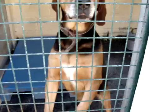 LOULOUS REFUGE 1 LE 25 SEPTEMBRE 2009