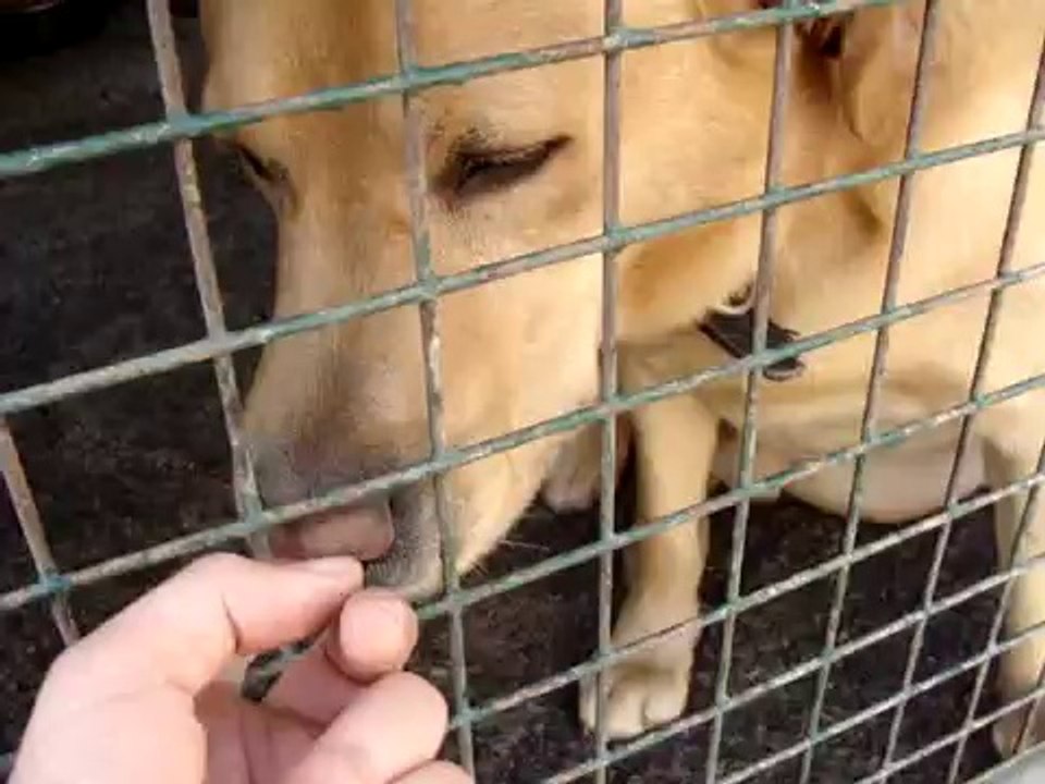 MAX AU REFUGE LE 20 AVRIL 2010