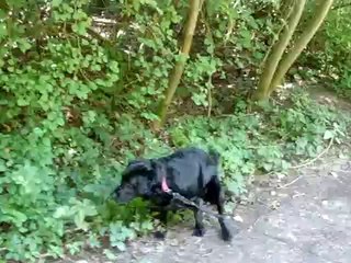 MILOU EN BALADE LE 1 AOUT 2011 1