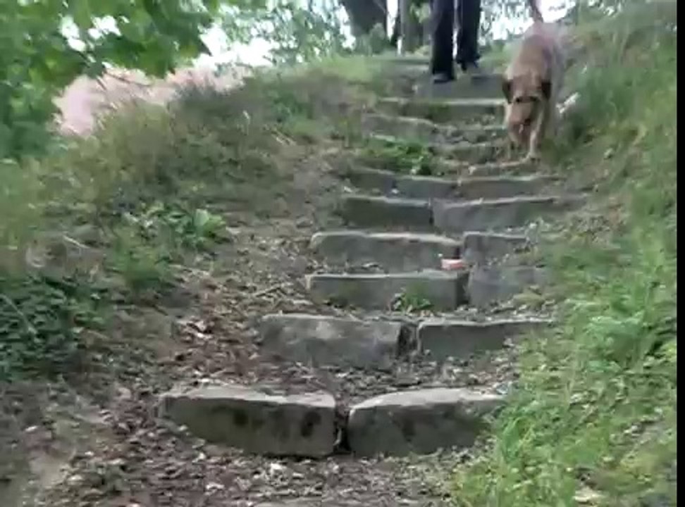 OSCAR