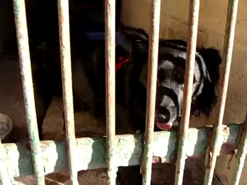 PLATON LE 25 SEPTEMBRE 2009