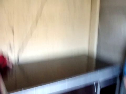 POSE DES NICHES REFUGE DES AMIS DE LUNA LE 16 DECEMBRE 2009 3