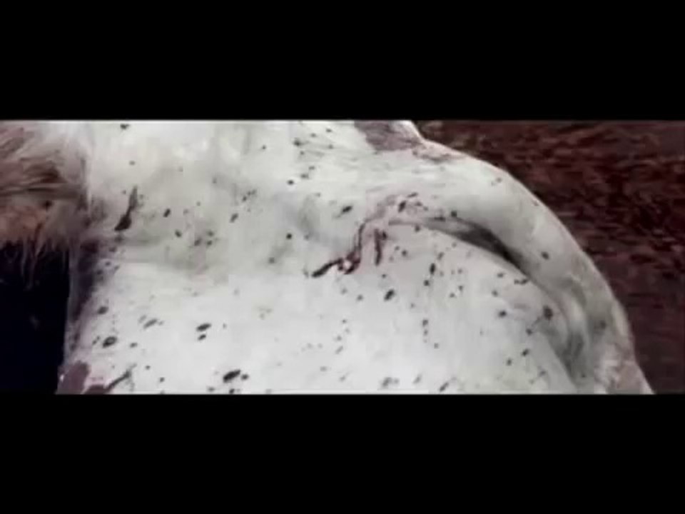 Turkish Cinema - Kosmos (Cosmos) by Reha Erdem - Golden Orange 2009