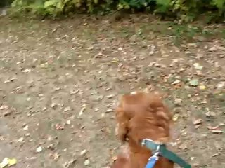 SCOUBIDOU ET LUCKY EN BALADE LE 3 OCTOBRE 2009