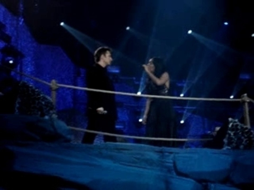 les enfoirés 2007 à Nantes