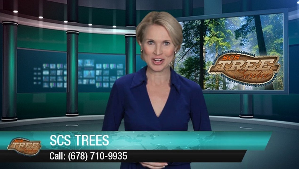 SCS Trees Acworth Great 5 Star Review by Ingrid P. - Acworth Tree Service