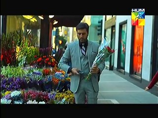 Aahista Aahista Episode 10 on Hum Tv - 3rd August 2014 - part 2