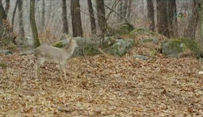 certainly ⊥유흥마트↘uhmartNET⊥중곡동안마 잠실안마 잠실안마