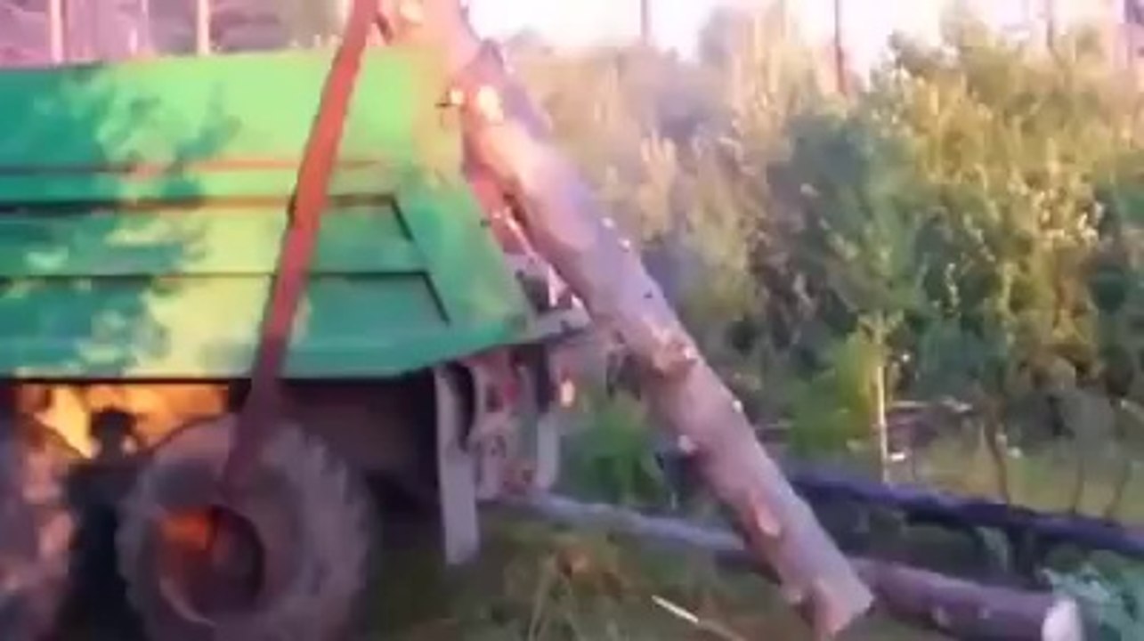 Pratik zeka diye işte buna denir