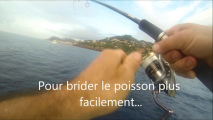 Canne Lucky Craft ESG 2 / vs  / Pélamide par Marco la pèche . Antomicou