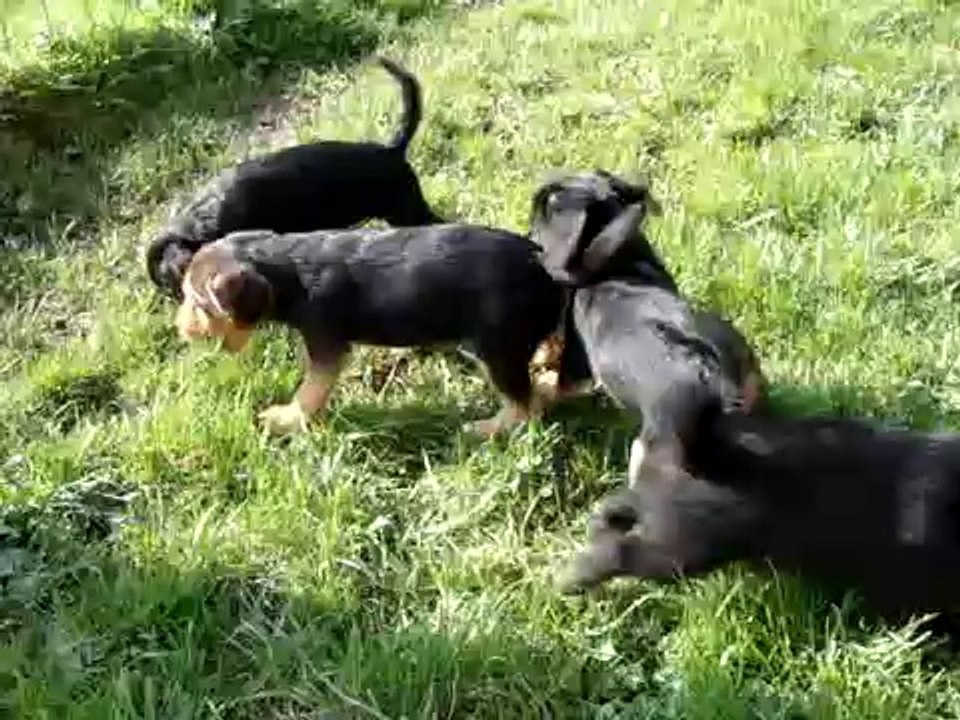 SEANCE DE JEU 3EME PARTIE LE 20 MARS 2011