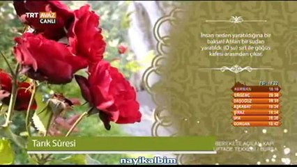 Bilal Aydın Tarık suresi Ramazan 2014