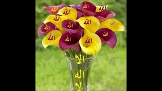 SURAH AL MUZZAMMIL سورہ المزمل