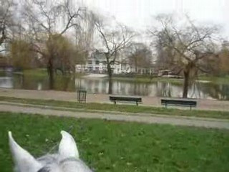 Balade à Paris