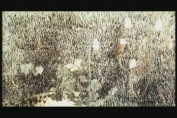 NENETTE + BONI - Coming to DVD 5/26