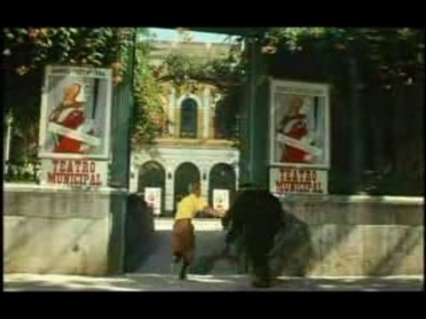 Tintin Oranges Bleues