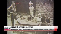 Korean gov't to publish white paper on Japan's sexual enslavement by late 2015
