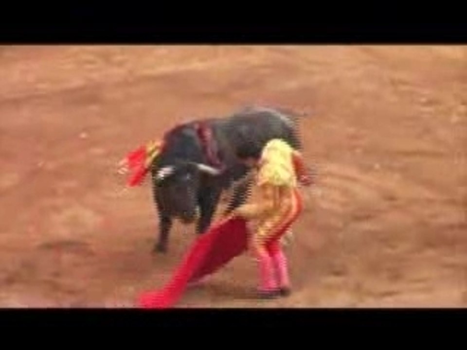 Tempora-mexico-DF-2003