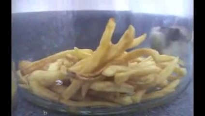 The Decomposition Of McDonald's Burgers And Fries