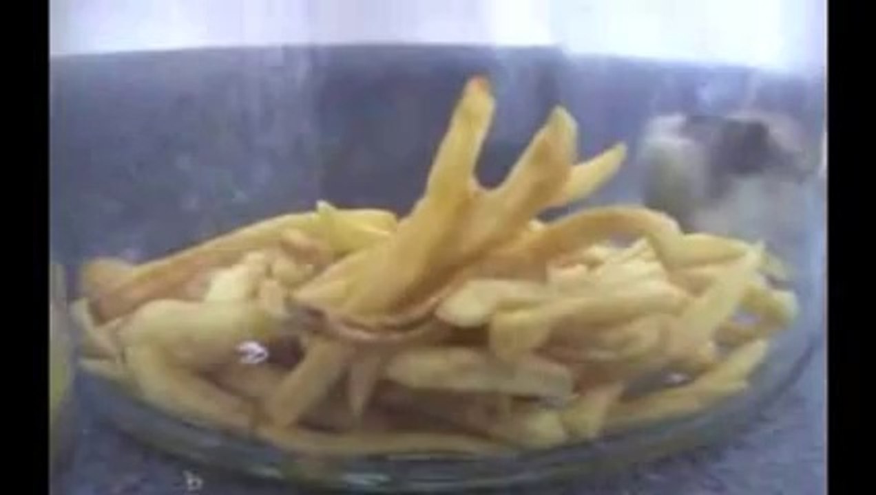 The Decomposition Of McDonald's Burgers And Fries