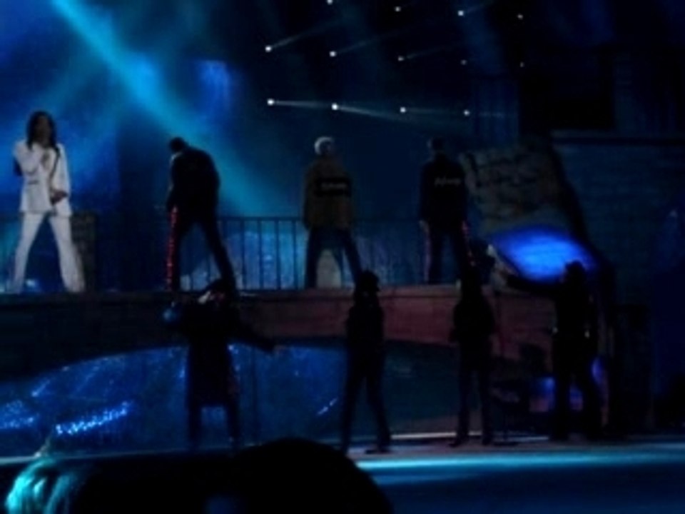 les enfoirés 2007 à Nantes