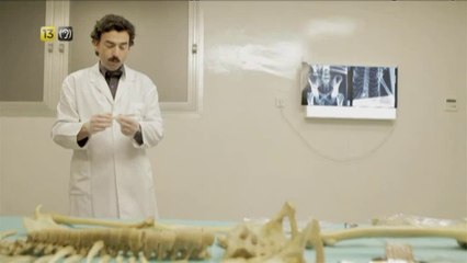 TV3 - Dissabte, 21.55, al 33 - "Forenses", a "Sense ficció"