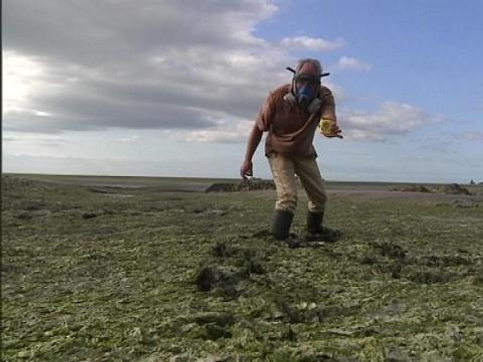 Algues vertes: vers de nouvelles plaintes