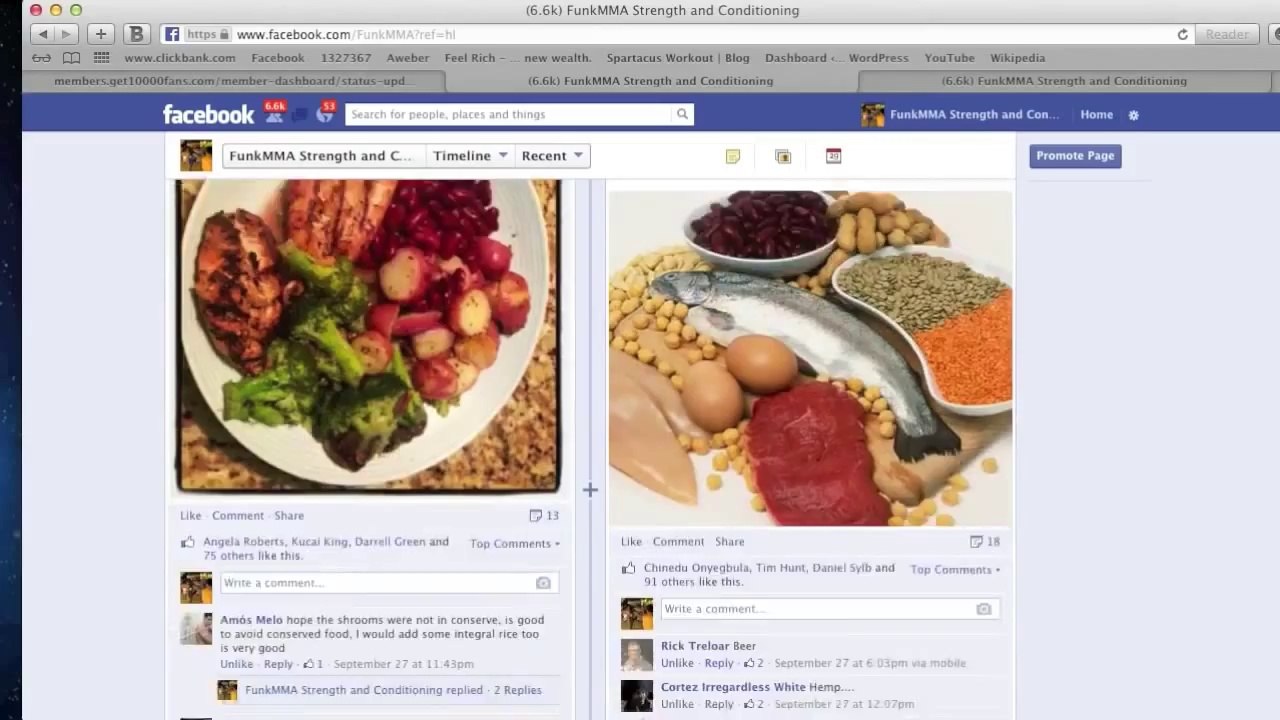 Get 10,000 Fans Review _ Work for Services_ _ Funk Roberts