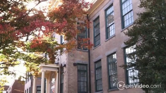 Lava Apartments in Richmond, VA - ForRent.com