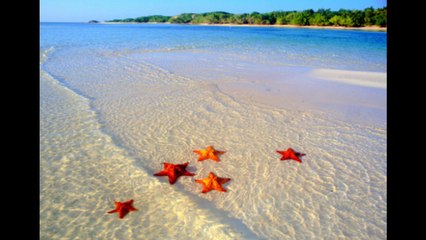 How to add a new scene as the scene resource in A-PDF FlipBook Creator?