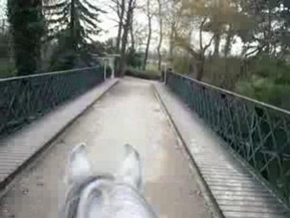 A cheval dans Paris...