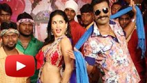 Sunny Leone Replaces Mallika Sherawat In Sheshamma !