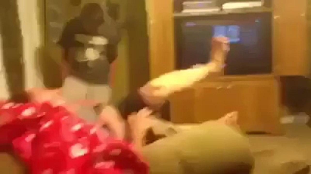 killing a mouse